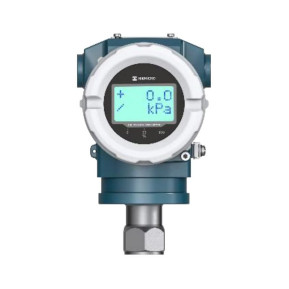 Transmissor de Pressão Manométrica/Absoluta Hikmicro PS01/02