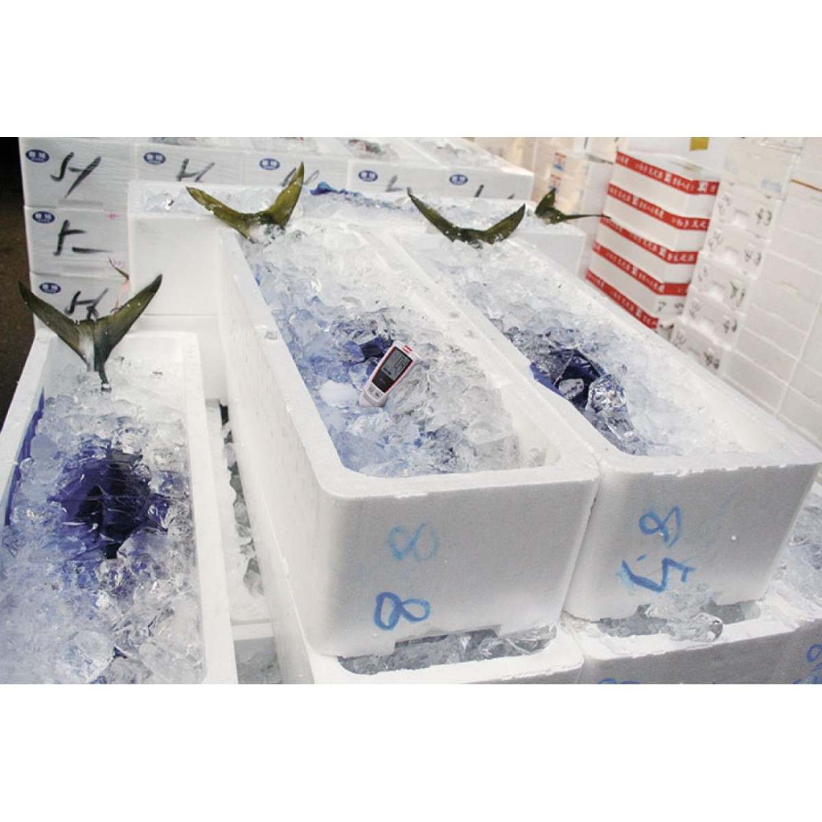 Datalogger de Temperatura para HVAC KT 120