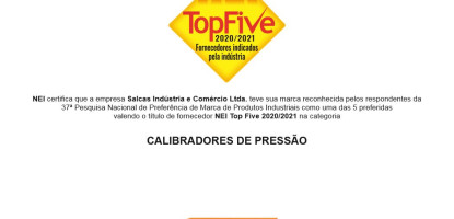 Salcas - Reconhecimento TOP FIVE NEI 2020 / 2021